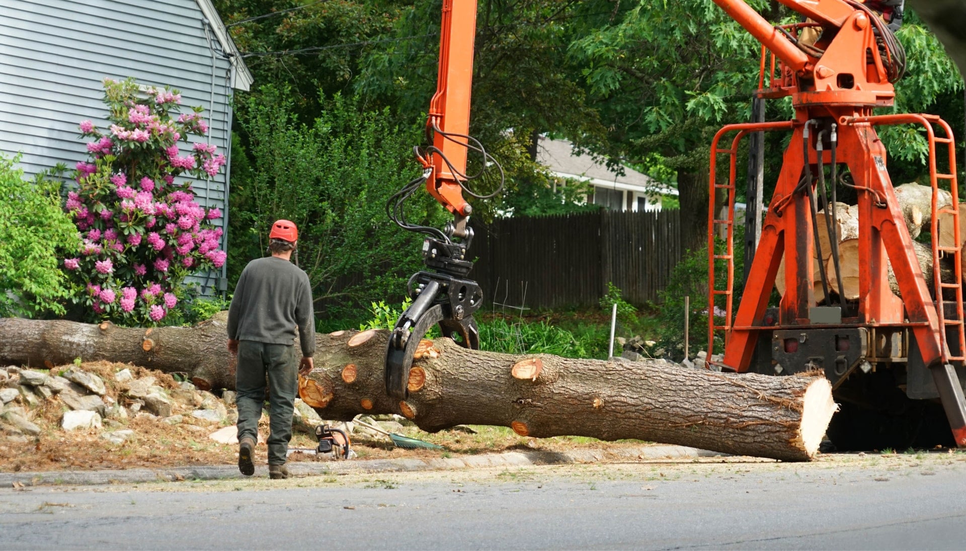 Local partner for Tree removal services in Florence